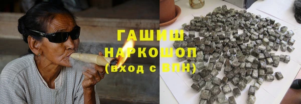 индика Богданович