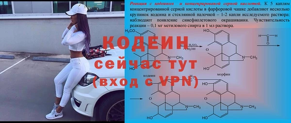 индика Богданович