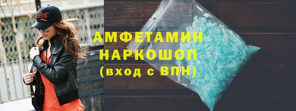 индика Богданович