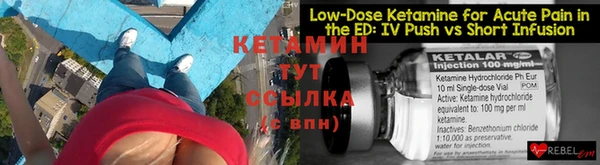 индика Богданович