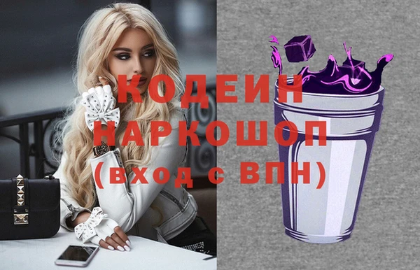 индика Богданович