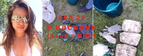 индика Богданович