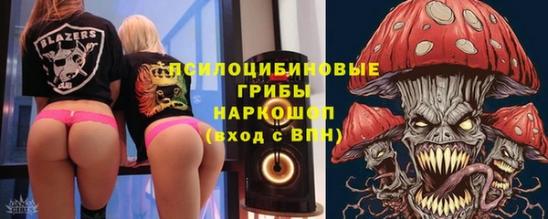 индика Богданович