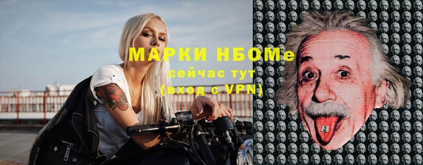 индика Богданович