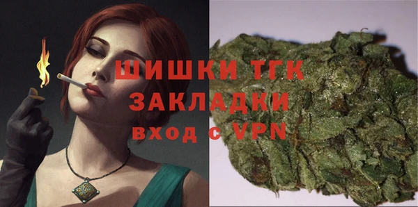 индика Богданович