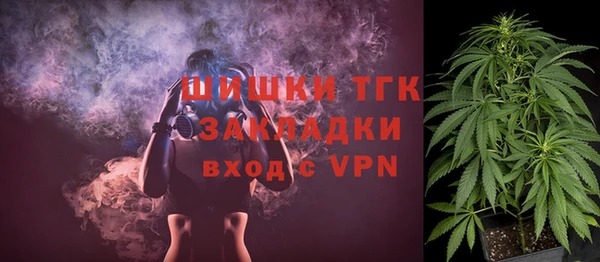 индика Богданович