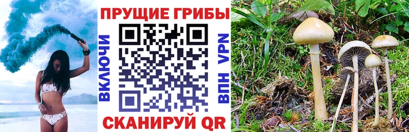 MEGA сайт  хочу наркоту  Уссурийск  Псилоцибиновые грибы Cubensis 